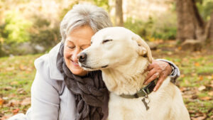 dogs help the elderly